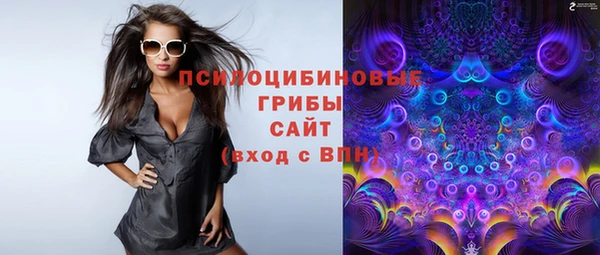 стафф Алексин
