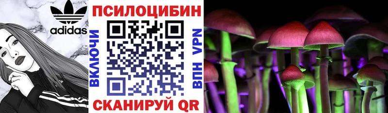 Галлюциногенные грибы Magic Shrooms Алексеевка